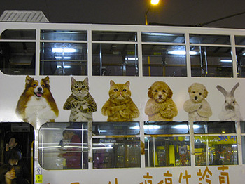 2010香港トラム03.jpg