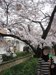 桜2009－02.jpg