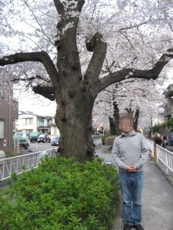 桜2009－03.jpg