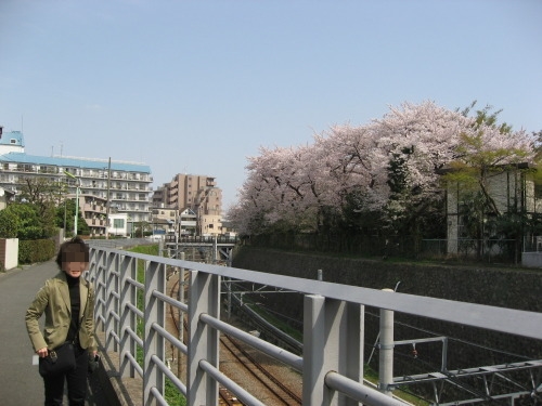 桜2010－04.jpg