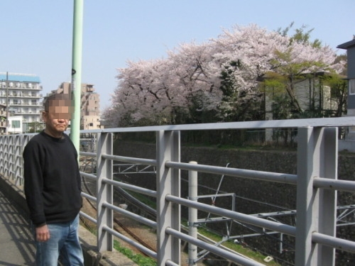 桜2010－06.jpg